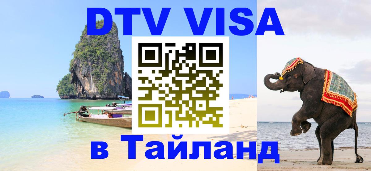 Сколько стоит DTV виза — актуальные цены, оформление даже без документов - 18.11.2025 